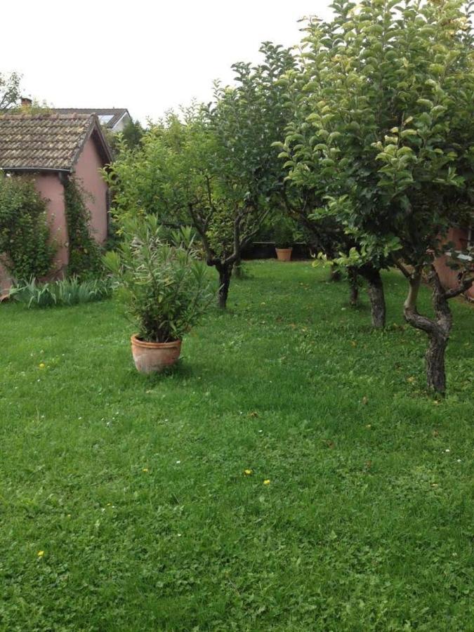 Les Portes Du Vignoble Séjour chez l'habitant *